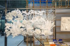 品的制型设想取空间场域构成对村落生态的诘问